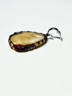 Pendentif Septaria