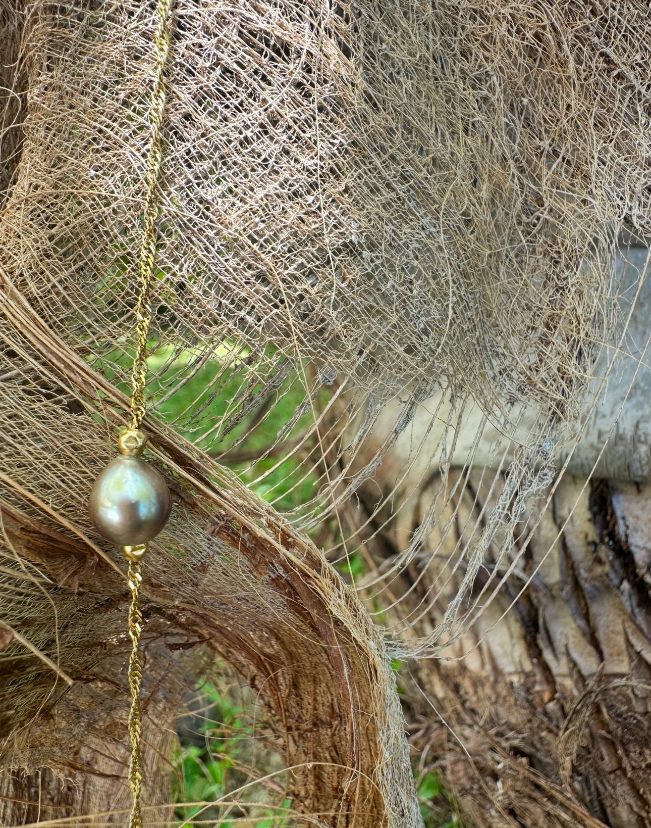 Chaîne de cheville perle de Tahiti sur Acier doré
